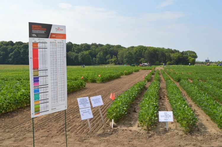 A field with crops growing and signs posted.