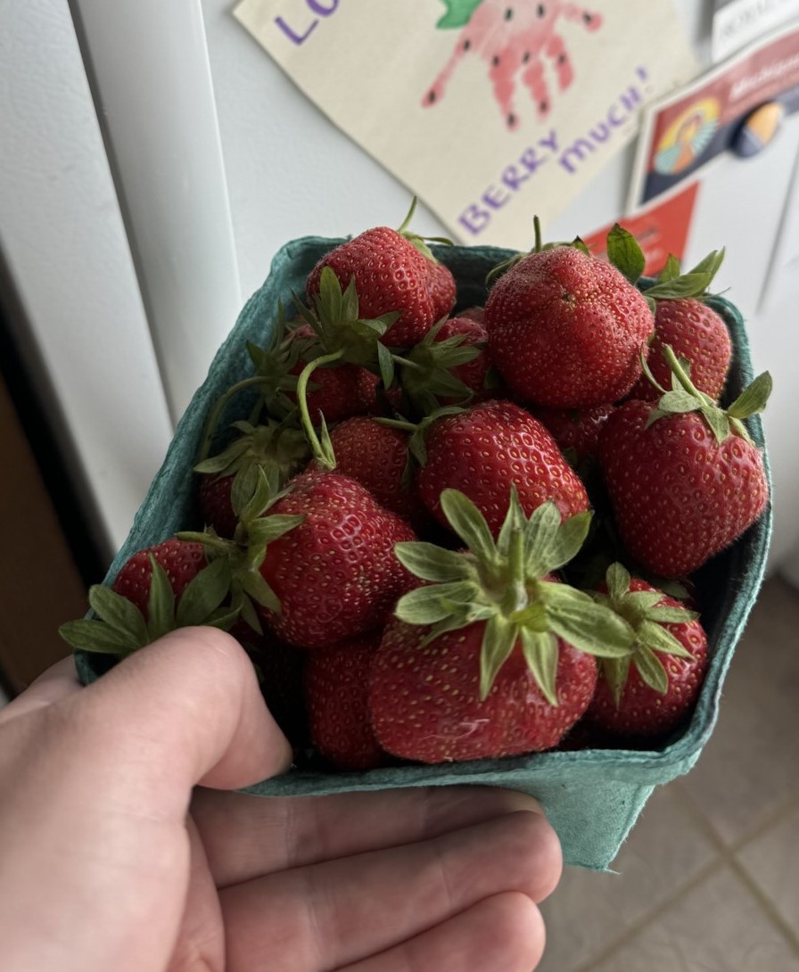 Strawberry_Home_June17_2024.jpg