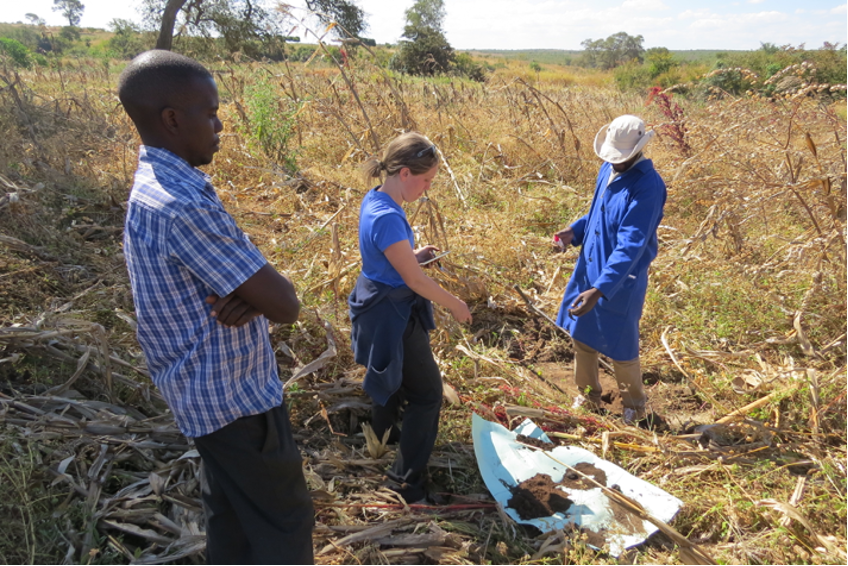 USAID SIIL project: Alison Nord evaluating sustainable soil management in Tanzania